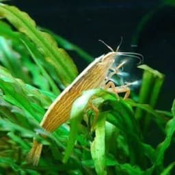 TestAccount